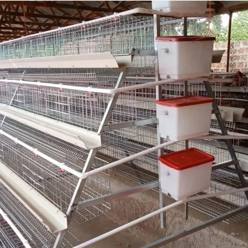 Hot selling 3/4 layer Type A 1000-10000 poultry equipment chicken coop chicken cage layer chicken farm