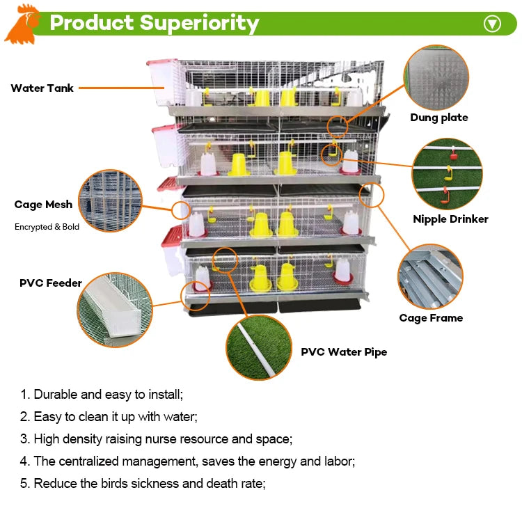 Automatic H Type 4tier Battery Chicken Cage Broiler Layer Poultry Farm 1000 Birds Animal Broiler Cage for Sale