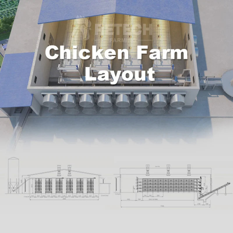 2020 Factory Price Poultry Shed Design Chicken Broiler Battery Cage Sale
