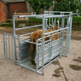 Hot-dipped Galvanized Cattle Corral Panel Cattle Squeeze Chute Cattle Crush