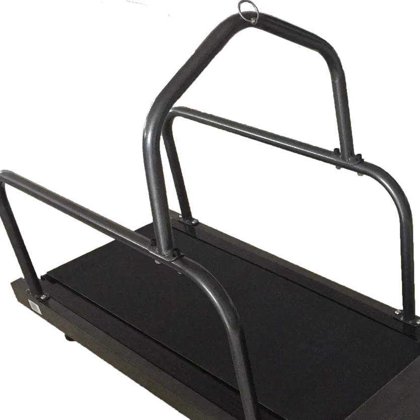 YS-C200 Dog Treadmill Animal Rehabilitation Equipment Horse Dog Training Artifact Greyhound Dog Walking Supplies