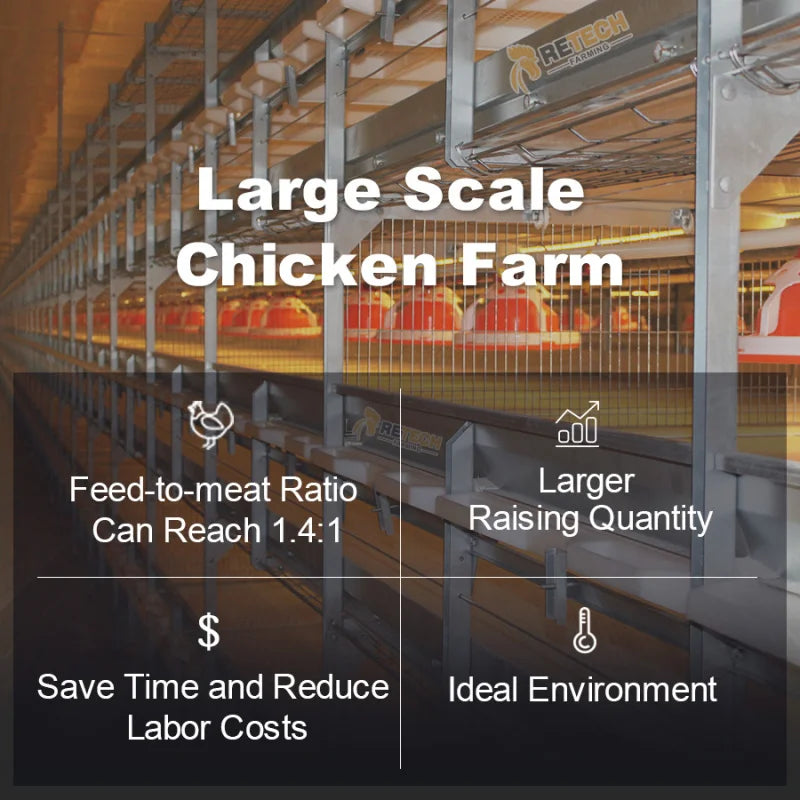 3 Tiers H Type Steel Structure Large Scale Poultry Shed Broiler Chicken Cage System Sale