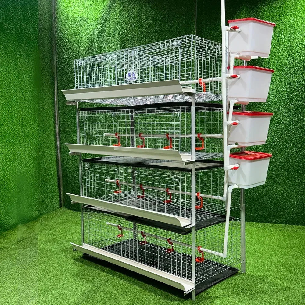 Automatic H Type 4tier Battery Chicken Cage Broiler Layer Poultry Farm 1000 Birds Animal Broiler Cage for Sale