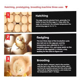 Dual Power 220V/12V  340 Eggs Fully Automatic Incubator Control Temperature Humidity Hatching Machine Eggs Chicken Duck Goose