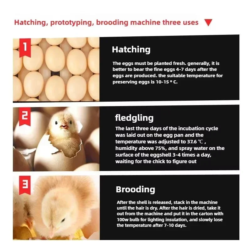 Dual Power 220V/12V  340 Eggs Fully Automatic Incubator Control Temperature Humidity Hatching Machine Eggs Chicken Duck Goose