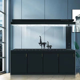 JC office/living room fish tank environmental protection glass aquarium bottom filter