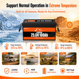 Buknuwo LiFePO4 24V/25.6V 100Ah Lithium Battery With Bluetooth Built-in 100A BMS Grade A Cells 2560Wh Power Energy Storage Battery Low-Temp Protection Capable Of Over 10000 Cycles Support Parallel Battery For Solar,RV,Marine,Off-Grid Application,Camp