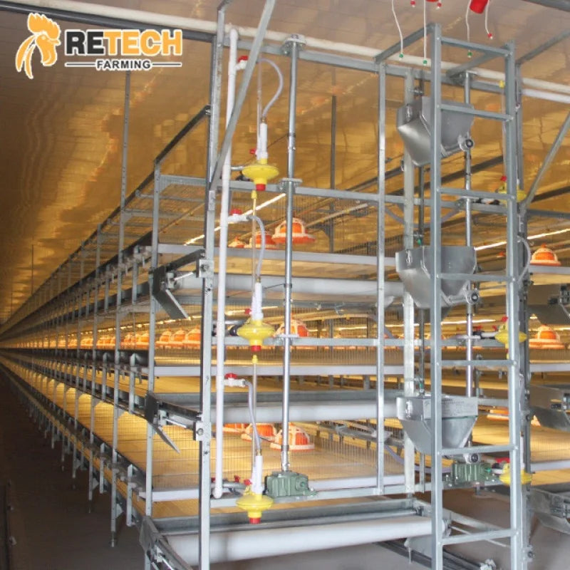 Good Price H Type Poultry Equipment Broiler Battery Chicken Cage Sale