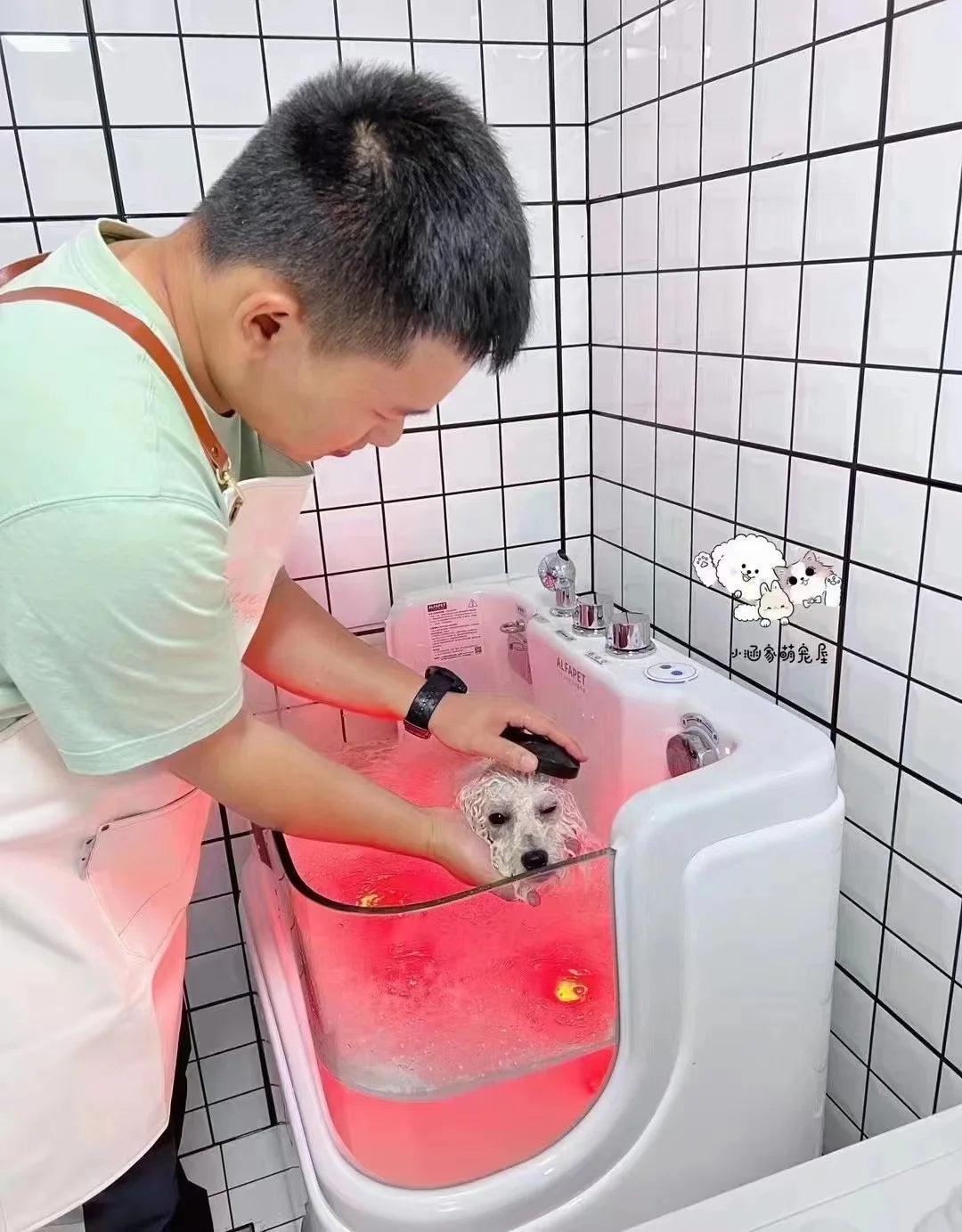 Pet Spa Bathtub Acrylic Dog Bathtub, Surfing Massage Bathtub With Ozone and Colorful Lights for Pet Grooming