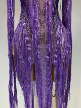 Women Sparkly Diamond Purple Tassel Long Sleeves Mesh See Through Dress Latin Dance Outfits Bar Nightclub Party Club Stage Wear