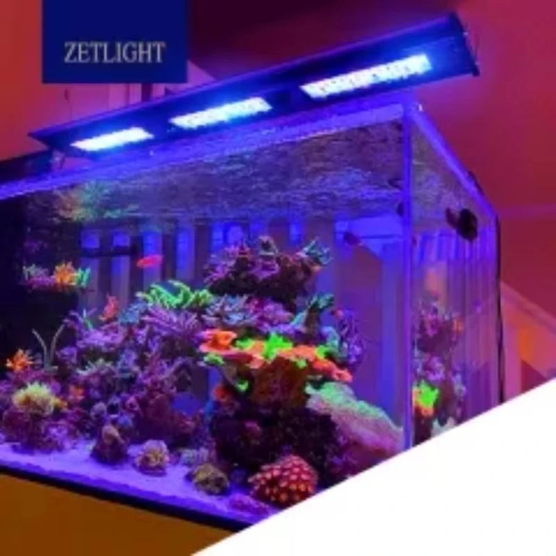 ZETLIGHT Qmaven Q6 Smart WiFi Marine & Coral LED Light - LPS/SPS Compatible with Sunrise-Sunset Mode