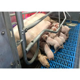 Animal husbandry equipment, easy-to-operate pig birthing cage