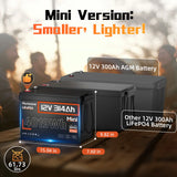 Humsienk 12V 100Ah 150Ah 200Ah 314Ah LiFePO4 Battery Built-in BMS Low Temperature Protection For RV/ Camp/ Solar Energy Storage