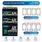 12V 300Ah Lithium LiFePO4 Deep Cycle Battery, 8000+ Cycles Rechargeable Battery for Solar/Wind Power,Small UPS,Lighting,and More