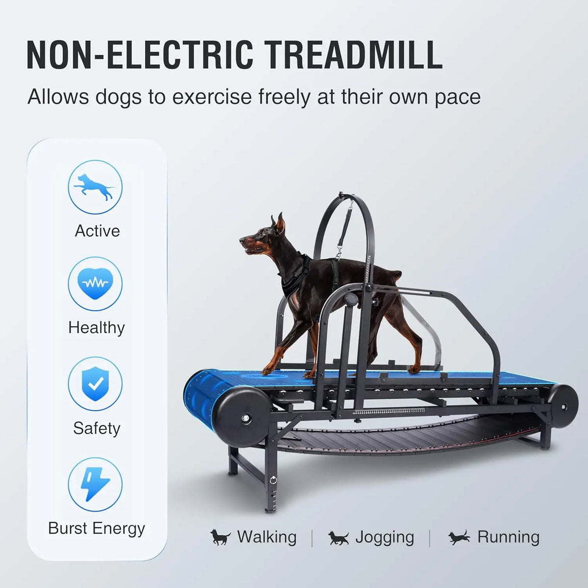 Heavy-Duty Indoor Dog Running Treadmill Best Professional Training Equipment for Large Dog Fitness Pet Supplies