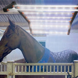 New Arrival 640W 800W Infrared Therapy Lamp Red Light Therapy LED Light for Equine Horse Animal Pain Relief Beauty Personal Care