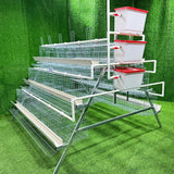 Poultry Farm Battery Chicken Coop  Egg Laying Hens 500 1000 Birds Animal Layer Chicken Cage for Farming Sale in Zimbabwe