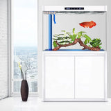 All-in-One AquariumCustomized Rectangle Fish Aquarium Tank Glass Aquarium Large Freshwater Aquarium Fish TanksFish TankSelf-Clea
