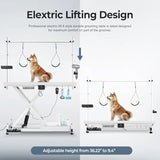 Heavy Duty Electric Lifting Pet Dog Grooming Table for Large Dogs with Overhead Arm Anti-Skid Rubber Desktop and Powerful Motor