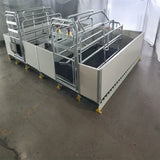 Postmodern High Quality Farrowing Crate Maternity Stall Sow Cage Hot Galvanized Pig Farm Equipment