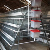 Hot selling 3/4 layer Type A 1000-10000 poultry equipment chicken coop chicken cage layer chicken farm
