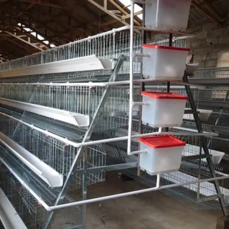 Hot selling 3/4 layer Type A 1000-10000 poultry equipment chicken coop chicken cage layer chicken farm