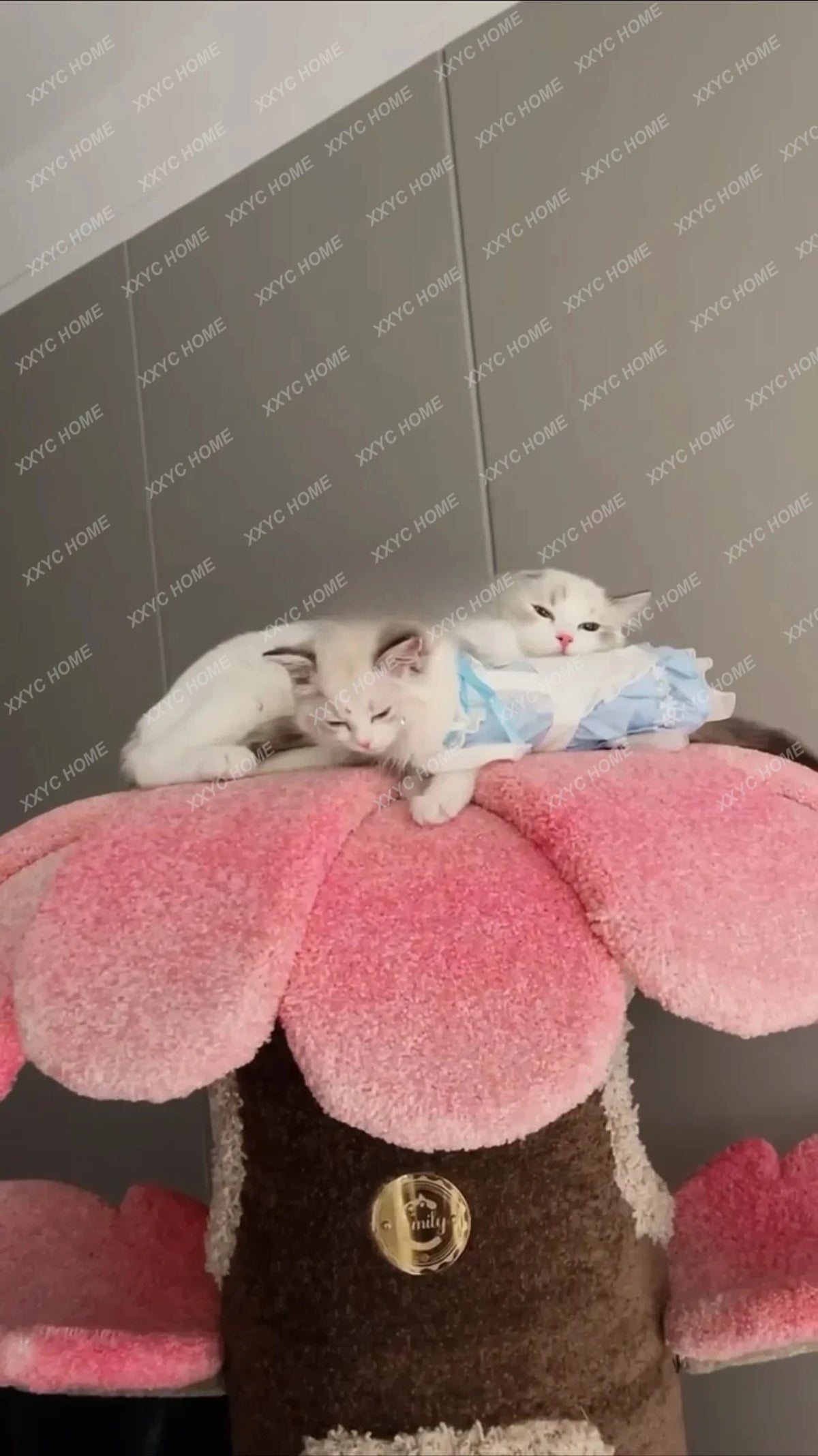 A Tree Special Customization Cat Climbing Frame Creative Customization SUNFLOWER Cat Tree