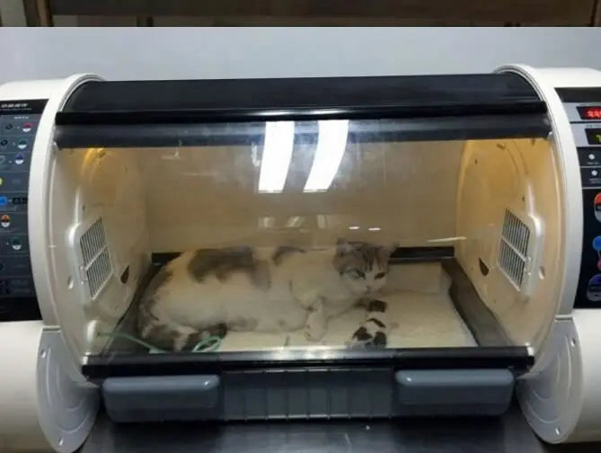 Factory Price  Dog Puppy Cat Incubator Veterinary Pet Incubator Pet Brooder 90