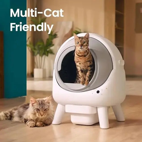 Self Cleaning Litter Box Orbitie Automatic Cat Litter Box Self Cleaning for Multiple Cats with App Control