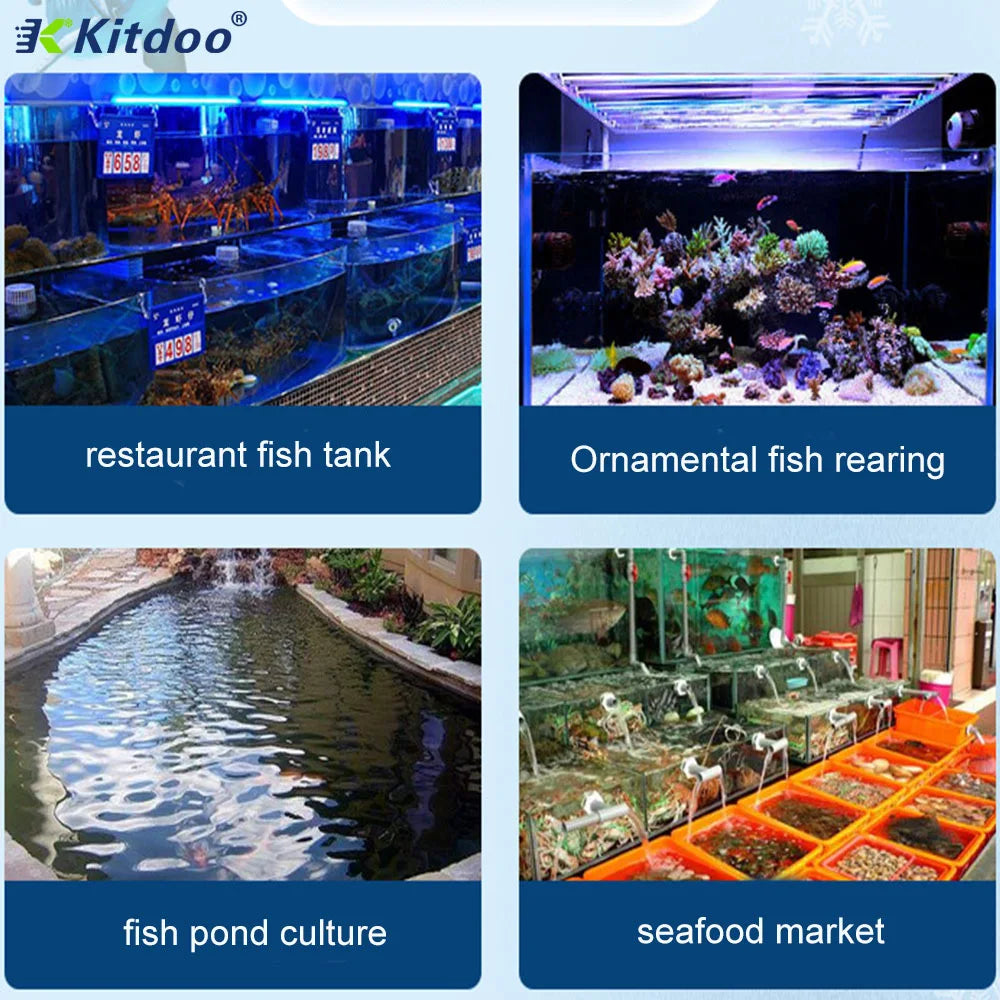 Fish Farming Equipment Refrigeration Unit for Seafood Fish Pond Aquaculture Equipment Fish Tank Chiller