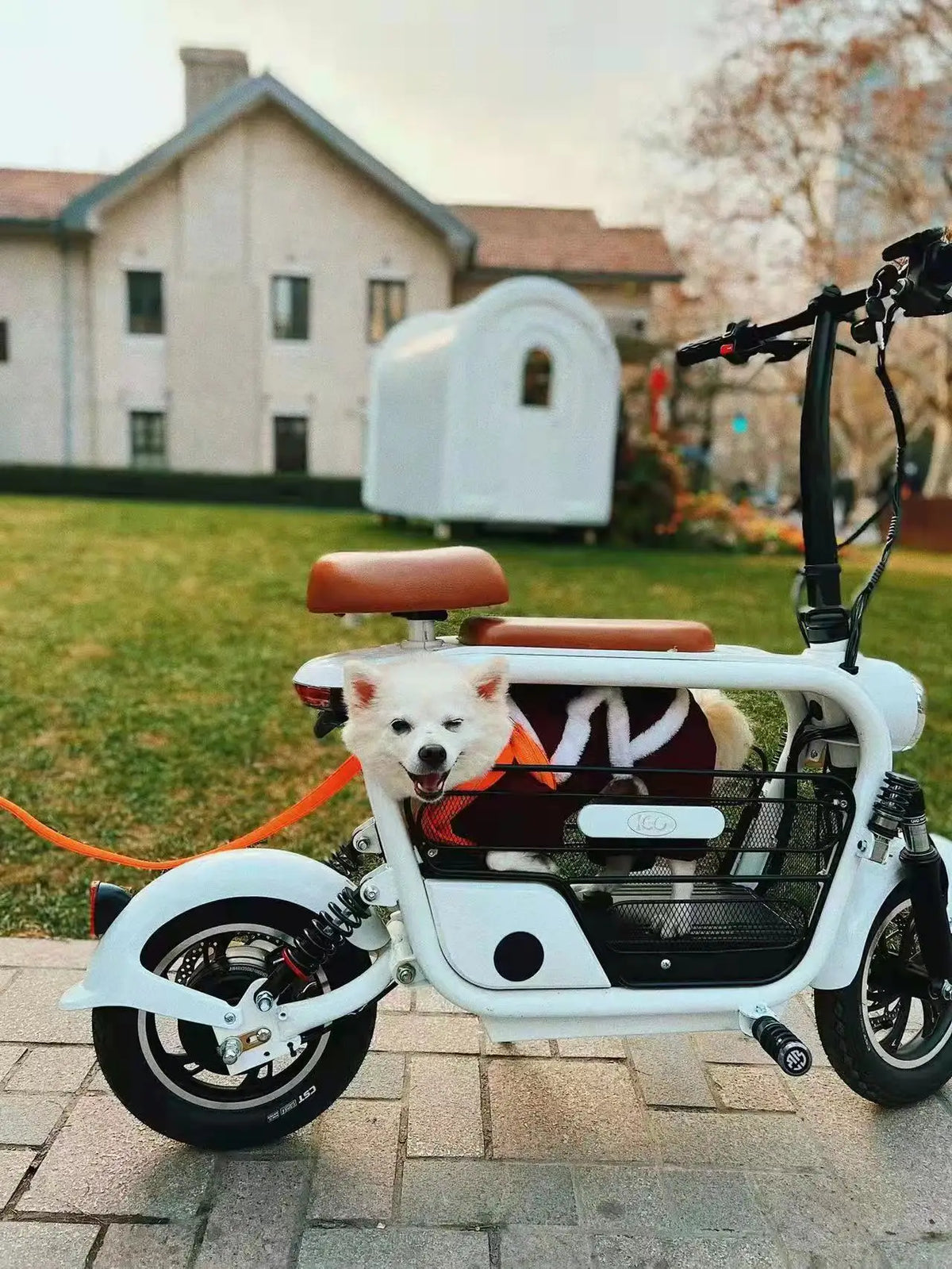 Pet Stroller Dog Pet Electric Scooter Electric Bike With Pet Carrier Chopper Scooter Electric Scooter