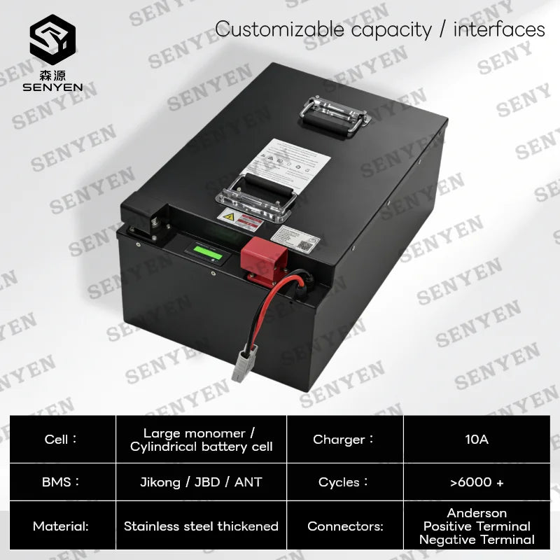 SY-lithium 48V 100Ah lifepo4 battery with BMS for tricycle golf cart inverter Solar energy storage scooter +58.4V 10A charger