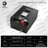 SY-lithium 48V 100Ah lifepo4 battery with BMS for tricycle golf cart inverter Solar energy storage scooter +58.4V 10A charger