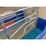Animal husbandry equipment, easy-to-operate pig birthing cage