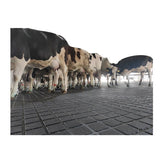 Customization Durable 6MPA Horse Stall Rubber Stable Mat Dairy Cow Horse Matting