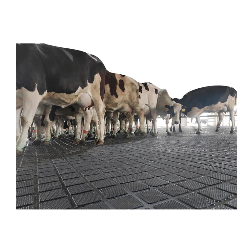Customization Durable 6MPA Horse Stall Rubber Stable Mat Dairy Cow Horse Matting