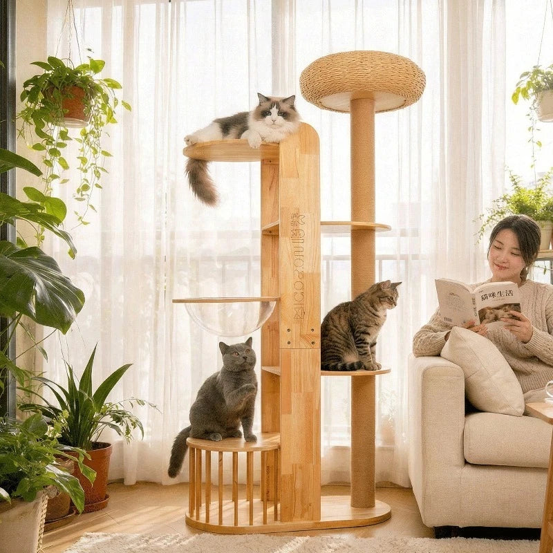 Nordic High-End Cat Tree with Capsule Space Saving Large Cat Scratcher Solid Wood Furniture & Scratchers casitas para gatos FYCT