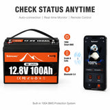 BUKNUWO 12V 100Ah Bluetooth LiFePO4 Lithium Battery, Smart 1280Wh Grade A Cells Battery For RV Boat Solar System