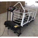 Professional Stainless Steel Dog Treadmill for Greyhound Agility Training Electric Pet Runner IPx6 Waterproof Adjustable Speed