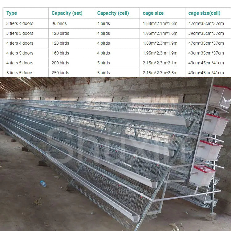 Poultry Farm Battery Chicken Coop  Egg Laying Hens 500 1000 Birds Animal Layer Chicken Cage for Farming Sale in Zimbabwe