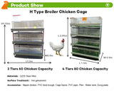 Automatic H Type 4tier Battery Chicken Cage Broiler Layer Poultry Farm 1000 Birds Animal Broiler Cage for Sale