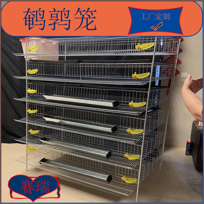 Automatic quail cage for egg collection, breeding equipment for pigeons, bird cage farms for farmers