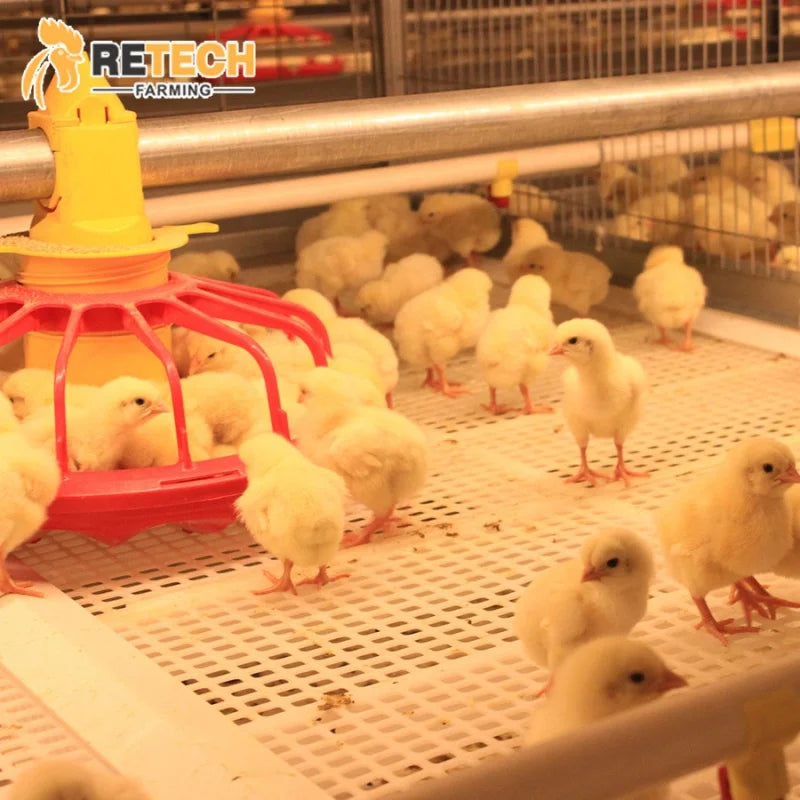 New Technology Durable Stacked Growing Broiler Chicken Cage