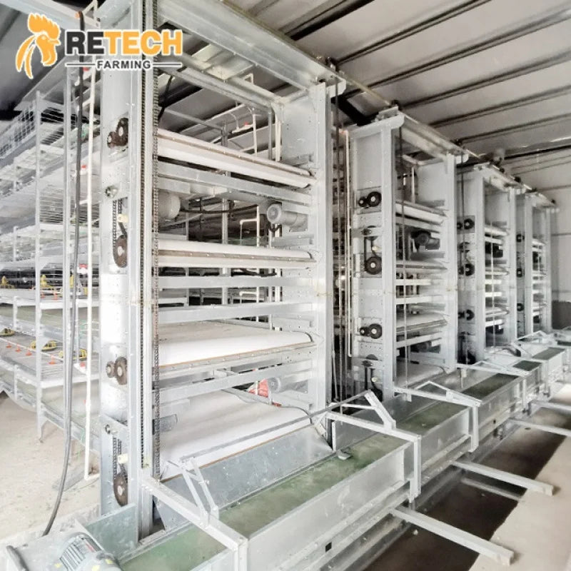 Fully Automatic H Type Chicken Broiler Cage Poultry Farming/Farm Equipment