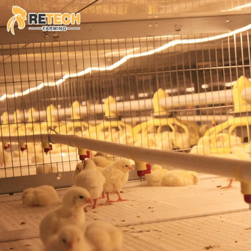 New Technology Durable Stacked Growing Broiler Chicken Cage
