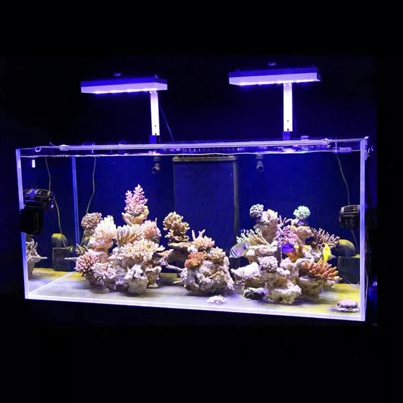 Aqua Illumination AI Hydra 32HD/64HD Reef LED Light - Black/White Body for Marine Coral Aquariums