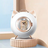 Pet Dryers Breathable Cat Drying Box Smart Home Bath Artifact Dog Water Blower Cats Space Capsule Automatic Grooming Accessories