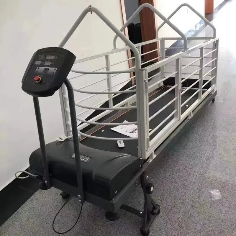 Professional Stainless Steel Dog Treadmill for Greyhound Agility Training Electric Pet Runner IPx6 Waterproof Adjustable Speed