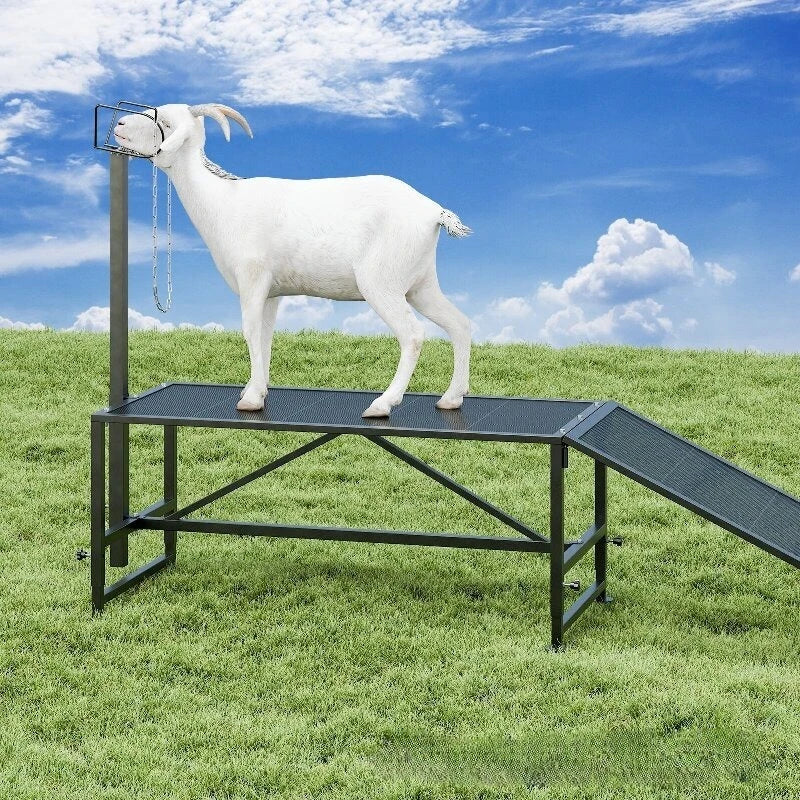 Sheep Milking Rack Adjustable Height Wool Trimming Fixation Metal Racks Sturdy and Durable Goat Trimming Farm Animal Supplies