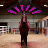Remote Control 1.8 Meter Length Horse Equipment KingBrite Led Animal PDT Infrared Light Therapy Panel Red Light Therapy Bar